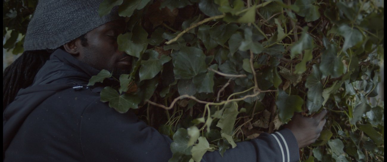 Image of black man putting his face to a wall of leafy vines.